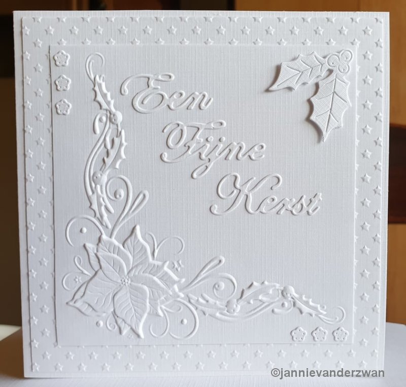 Nelle Choice 3D Embossing Folder - Poinsettia Corner