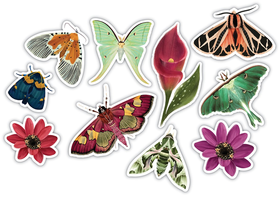 Midnight Flight - Wood shapes