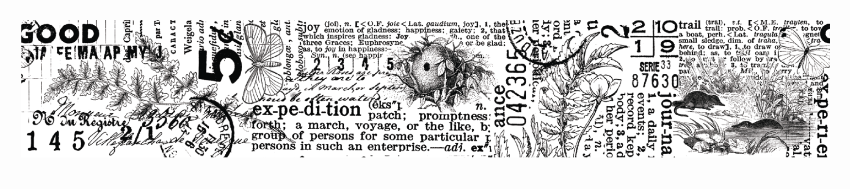 Arden Creative Studio Hidden Creek  Journal Kiss-Cut PET Tape